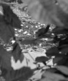 /album/le-parc-le-desert-lausanne/noir-03-jpg/